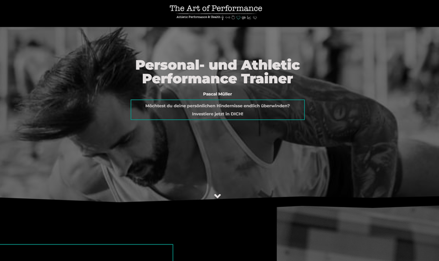 Kunde Website The Art of Performance